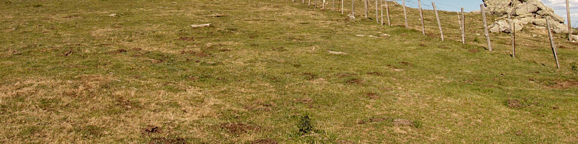 Frontière au Col du Puits du Pic du Néoulous, Montesquieu-des-Albères (Pyrénées-Orientales, Languedoc-Roussillon, France), Laroque-des-Albères (Pyrénées-Orientales, Languedoc-Roussillon, France), la Jonquera (Haut-Ampurdan, Gérone, Catalogne, Espagne)