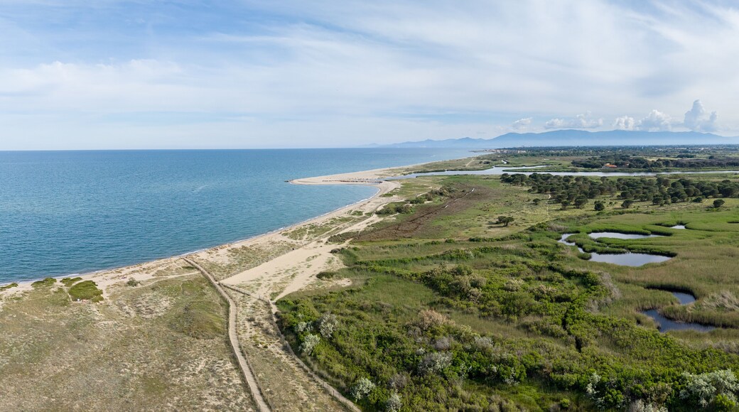 Saint-Laurent-de-la-Salanque