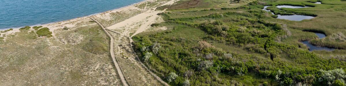 Plage naturiste de Toreilles
