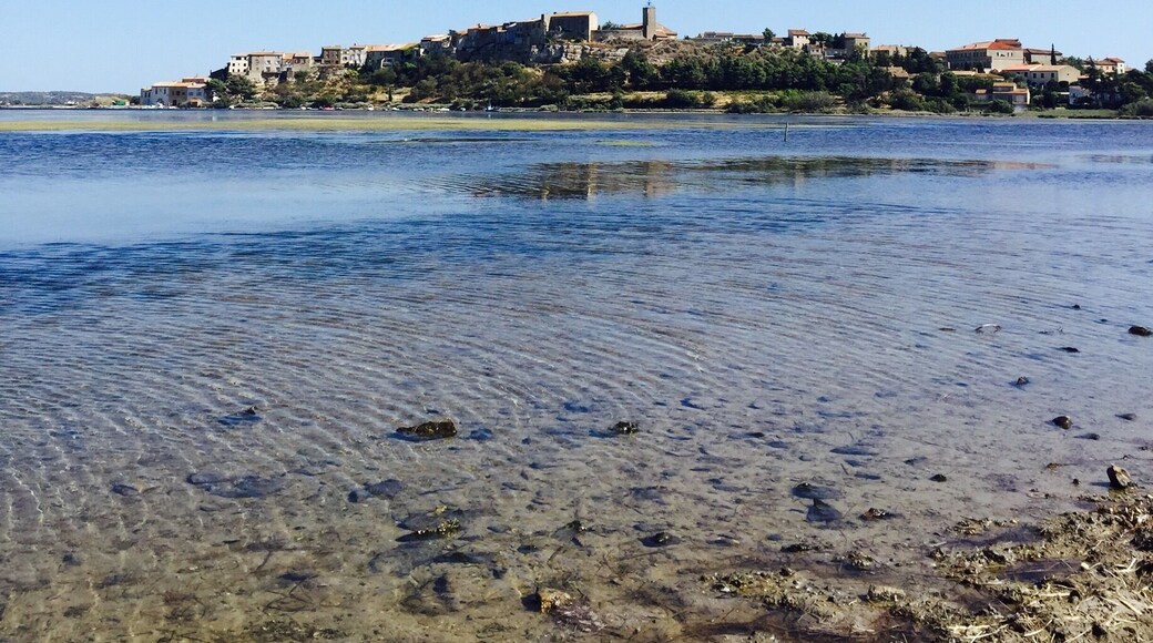 #EndlessSummer Where else but in this small fisherman village by the mediterranean sea is summer truly endless?! Bages encompasses best what the french call:
"L' art de vivre" with the locals' life loving attitudes, all year round sunshine, amazing wine and scrumptious food- an utmost pleasure to journey there๐