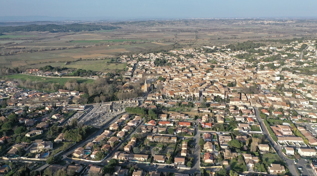 ์ด๋ฅด๋๋