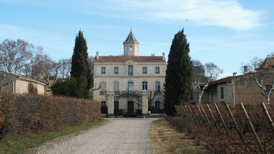 A large, historic building with a tower, surrounded by a gravel path and rows of grapevines.