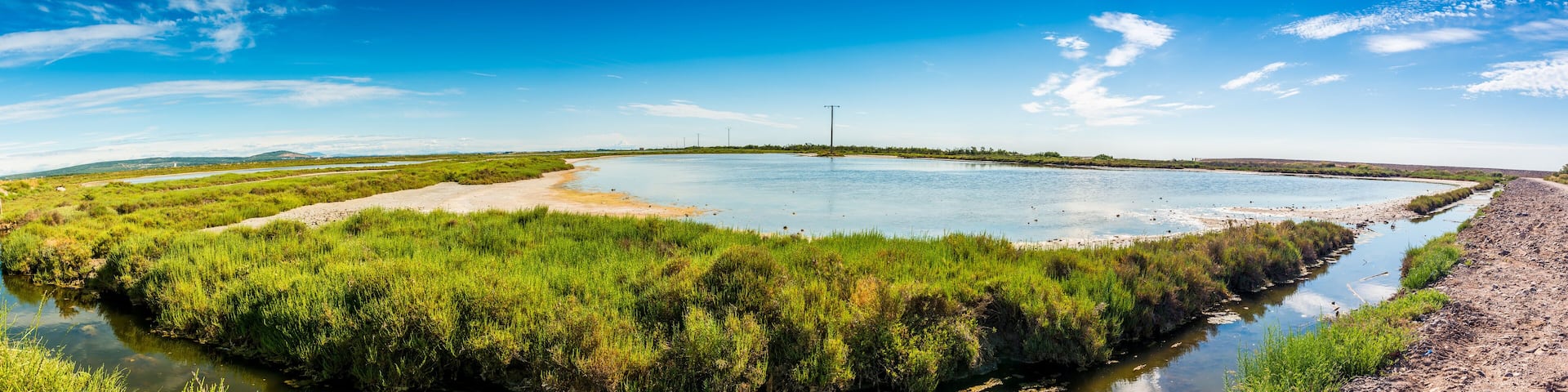Étang de Vic, Languedoc