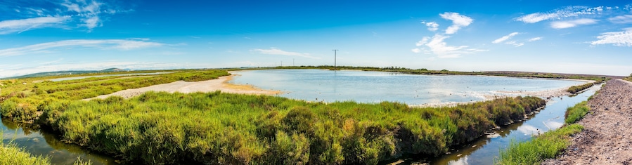 Étang de Vic, Languedoc