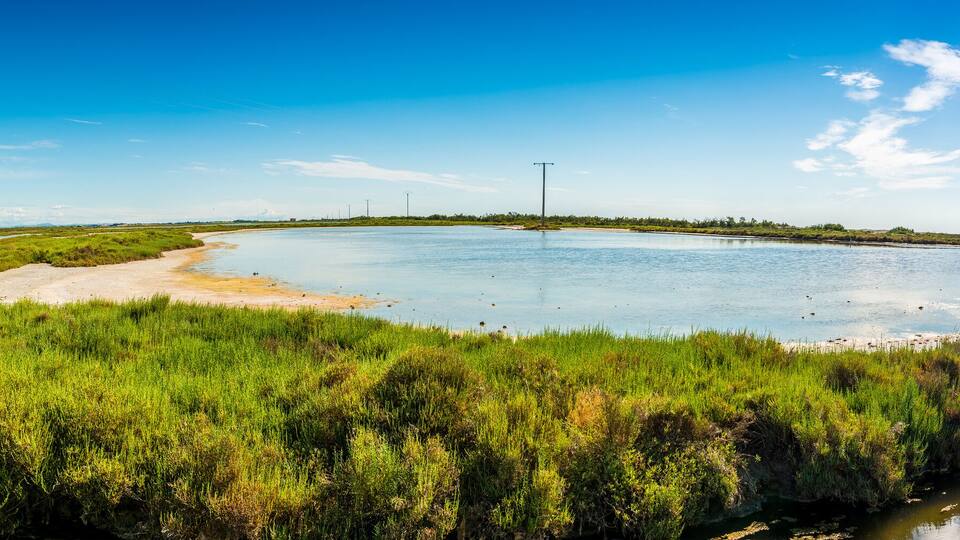 A large water body surrounded by green vegetation and a clear blue sky.