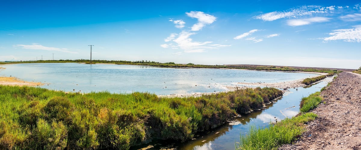 A large water body surrounded by green vegetation and a clear blue sky.