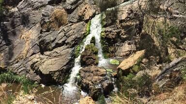 Just a nice surprise, small waterfall, lots of flowers around, don't wait end of the summer to go there, it is lovely to walk with the sound of the water.
Concrete pathway with stairs, easy very short walk.