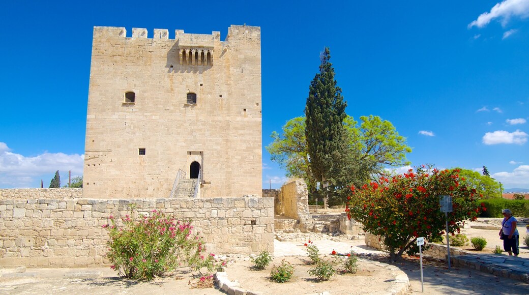 Kolossi Castle showing heritage architecture, a park and a castle