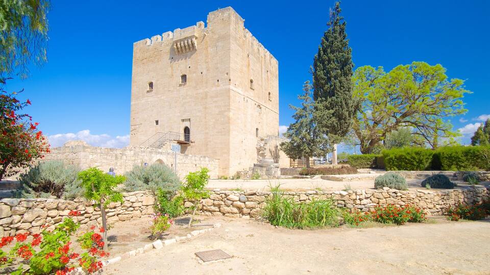 A historic stone tower with a staircase, surrounded by a garden with various plants and flowers.