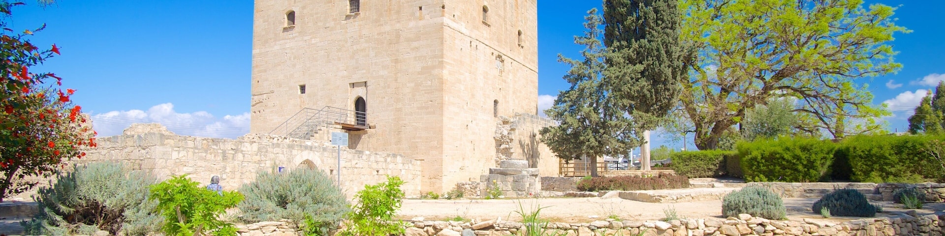 A historic stone tower with a staircase, surrounded by a garden with various plants and flowers.