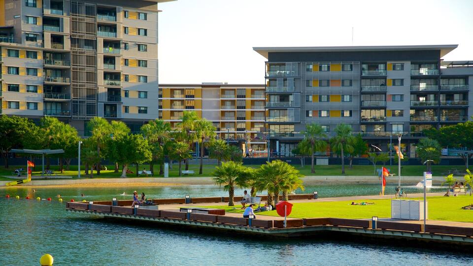 A waterfront park with palm trees, a dock, and modern buildings in the background.