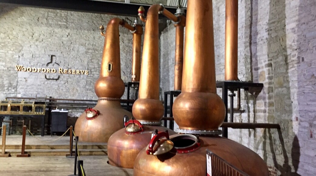 The triple
Copper distillation stills at Woodford Reserve. They are the only distillery to use three stills in the process of making bourbon.