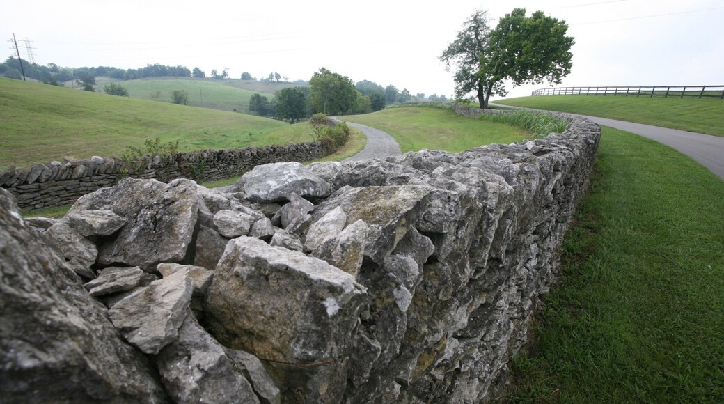 Shaker Village of Pleasant Village som inkluderar stillsam natur