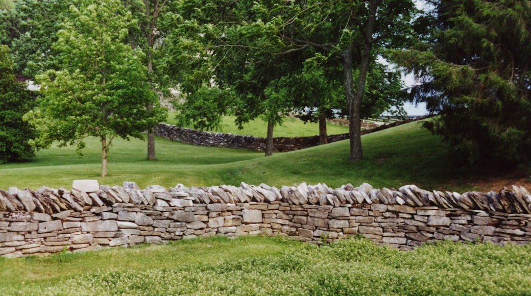 Shaker Village of Pleasant Hill featuring a park