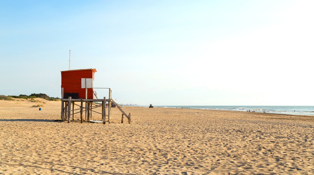 Beach scene. Beautiful morning of summer. The sun bright over the sea. Mar de las Pampas. Argentina.