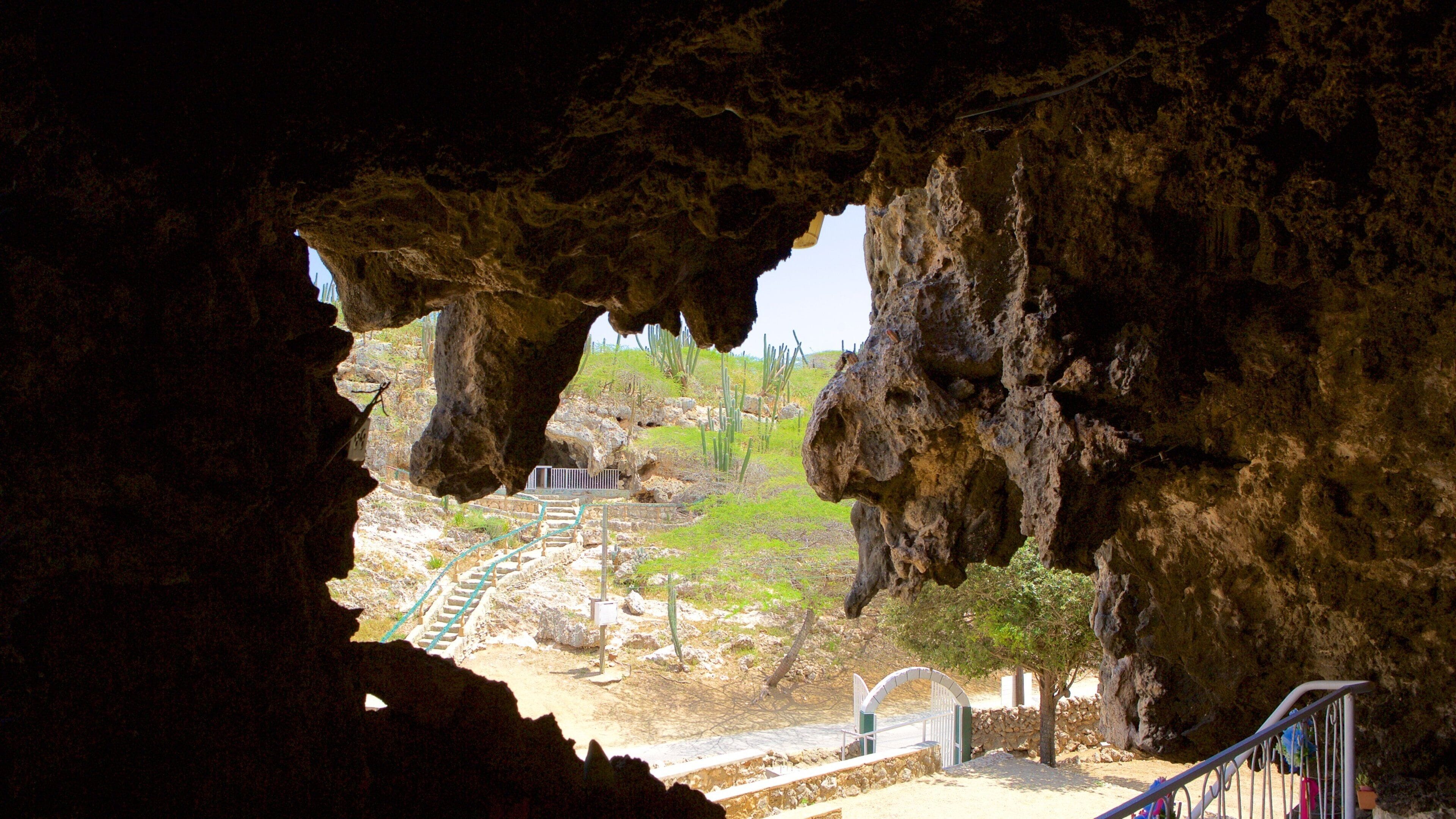 Lourdes Grotto which includes caves