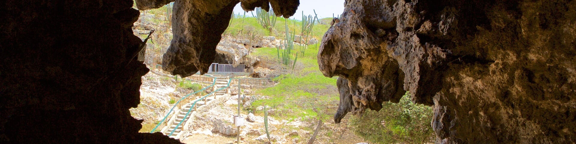 Lourdes Grotto which includes caves
