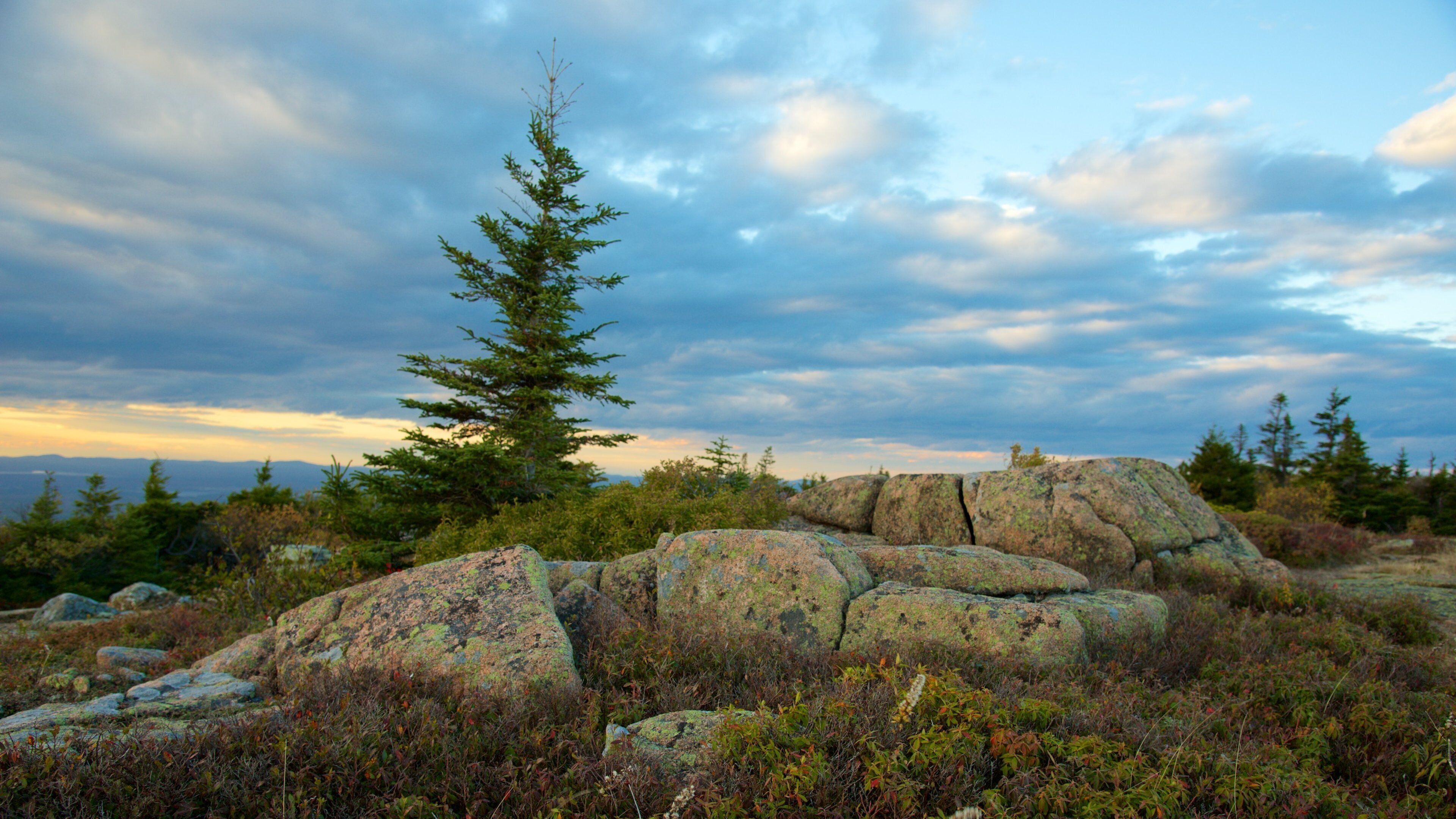 Cadillac Mountain que incluye vistas de paisajes