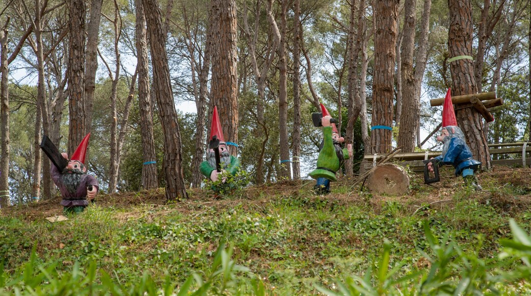 Gnomo Park which includes a garden