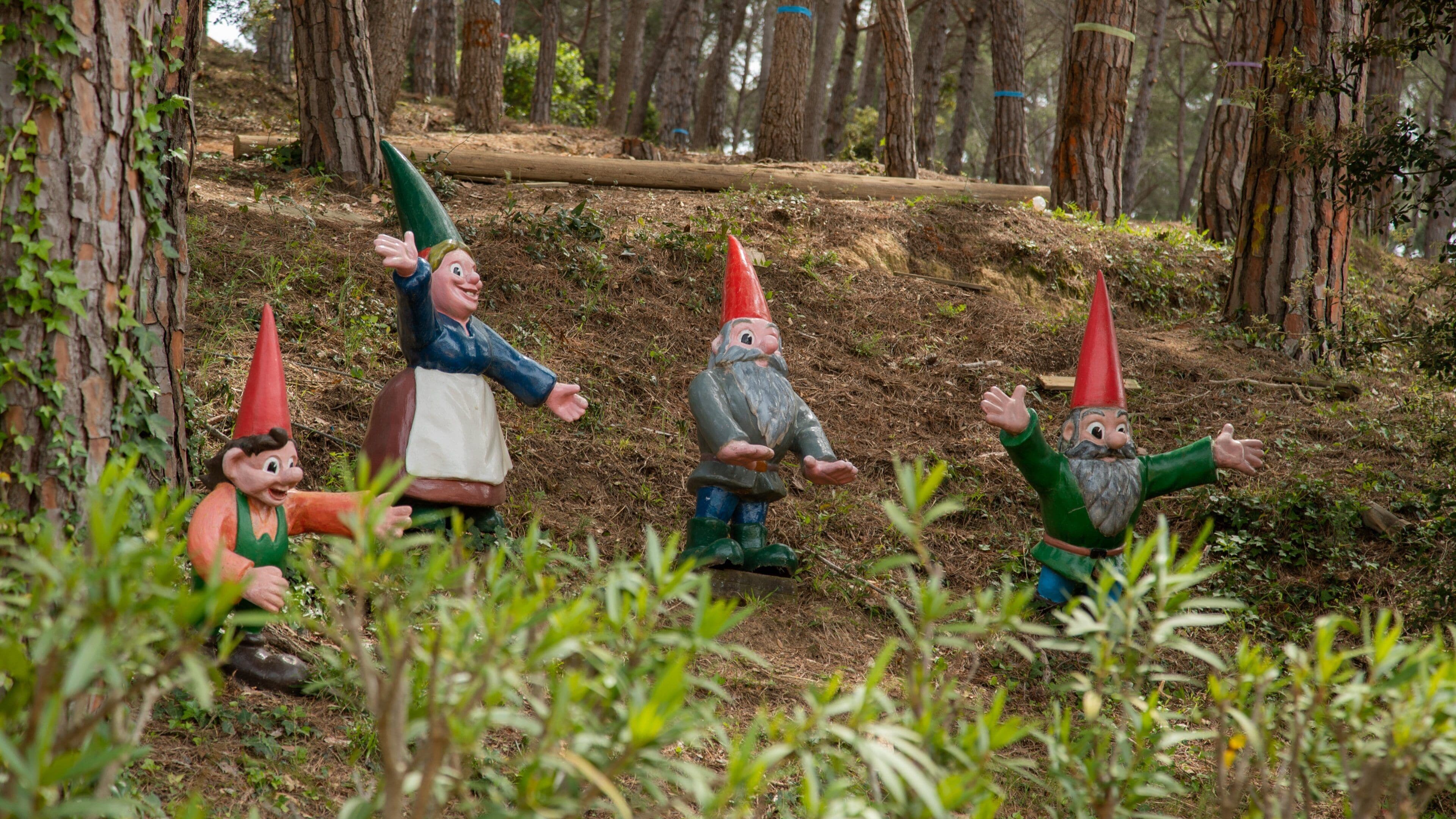 Gnomo Park showing a park