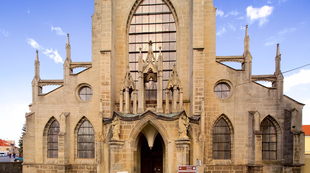 Maria-Tenhemelopneming en Johannes de Doperkerk inclusief historische architectuur, historisch erfgoed en een kerk of kathedraal