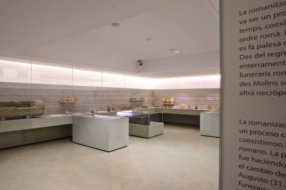 A museum exhibit with ancient artifacts displayed in glass cases.