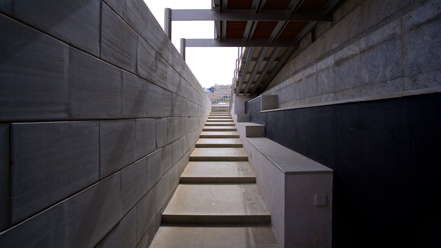 Necropolis del Puig des Molins