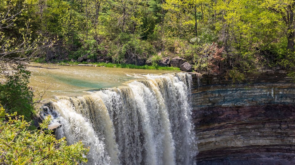 A waterfall surrounded by dense green forest.