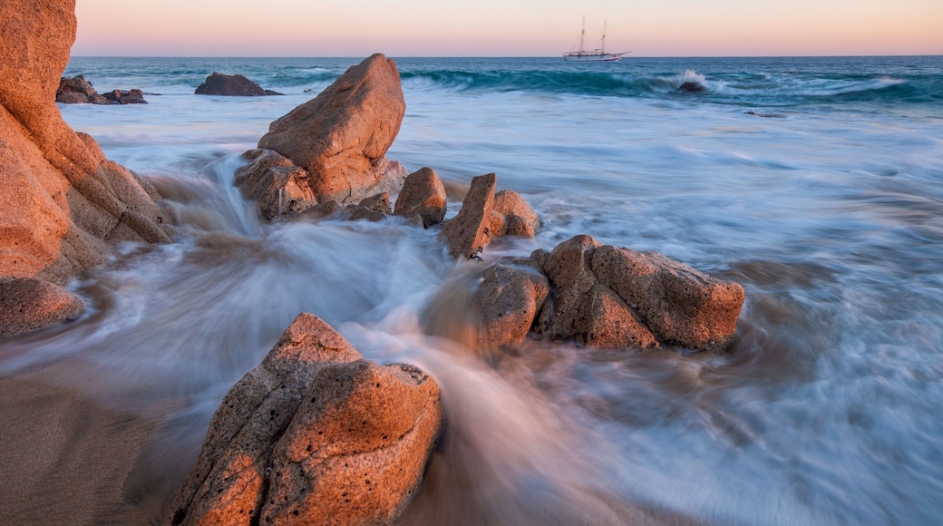 푸에르토 로스 카보스