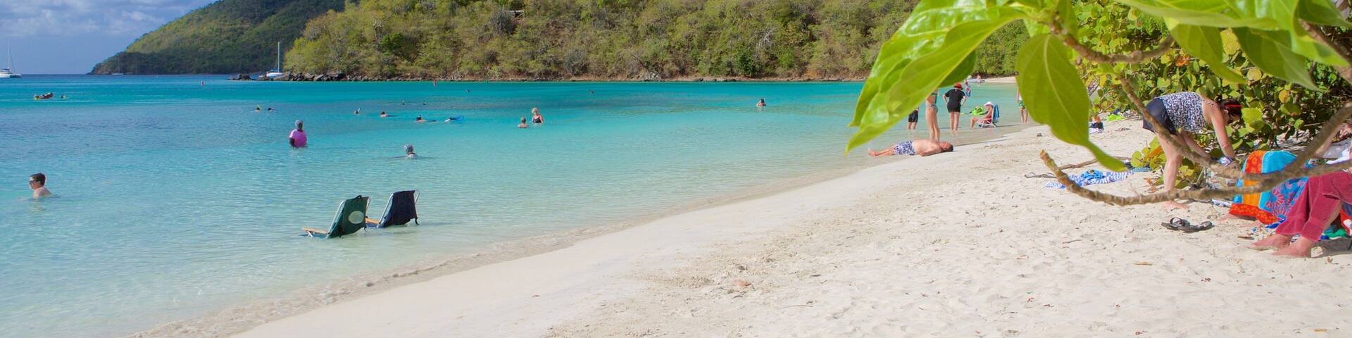 A beach with turquoise water, people swimming and sunbathing, and a hill with dense vegetation in the background.