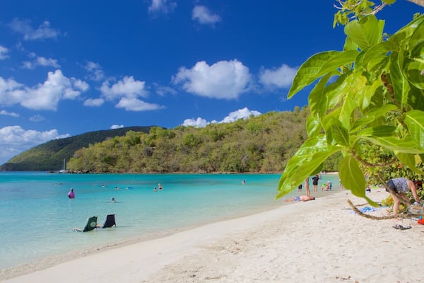 A beach with turquoise water, people swimming and sunbathing, and a hill with dense vegetation in the background.