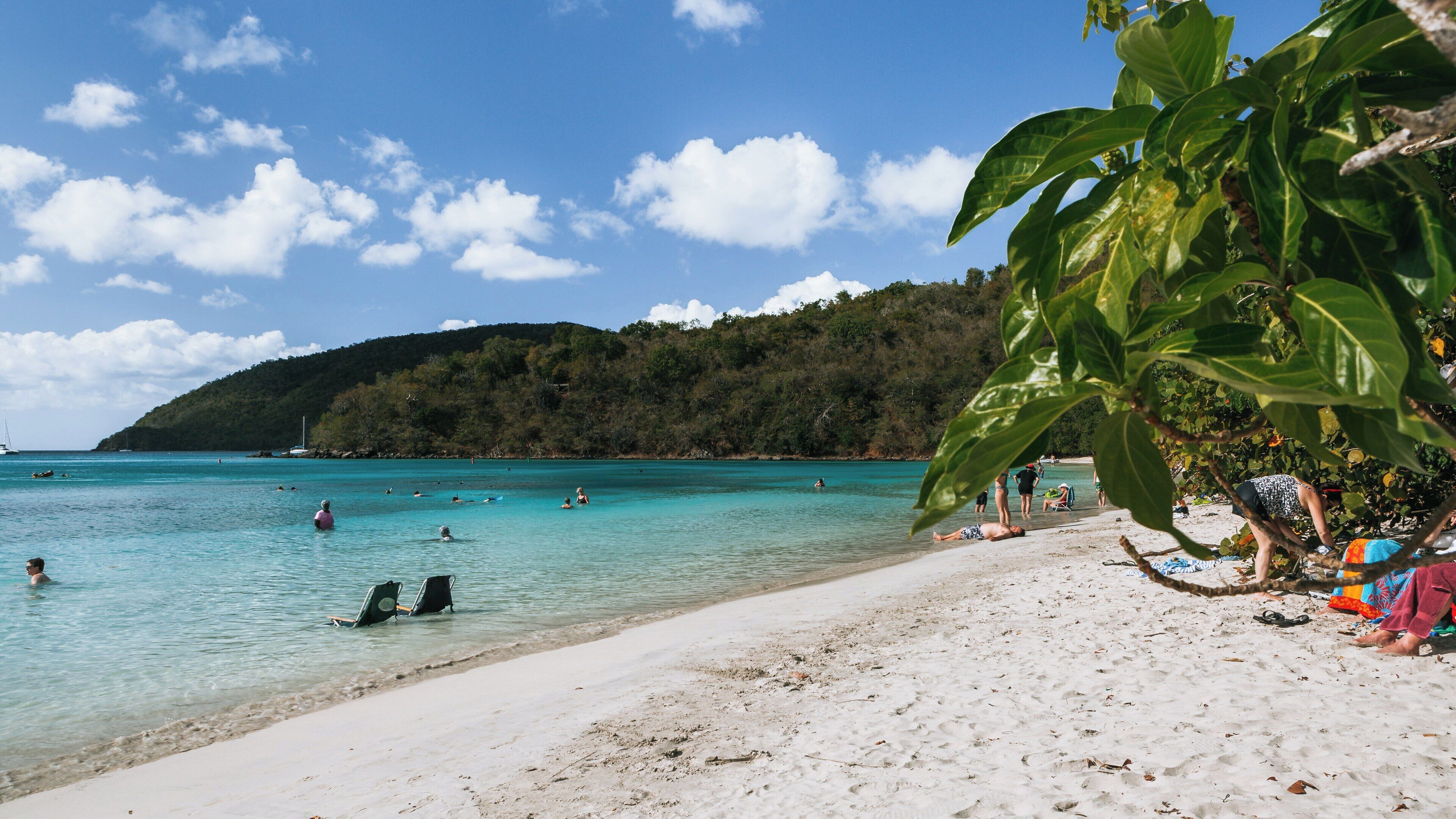 Stunning Maho Beach in Maho Bay Quarter offers clear waters and a relaxing atmosphere for visitors on St. John, U.S. Virgin Islands on a beautiful sunny day