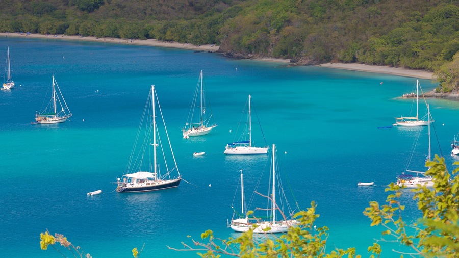 A turquoise sea with several sailboats anchored near a sandy beach surrounded by dense greenery.