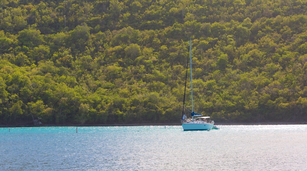 Maho Beach showing a bay or harbor