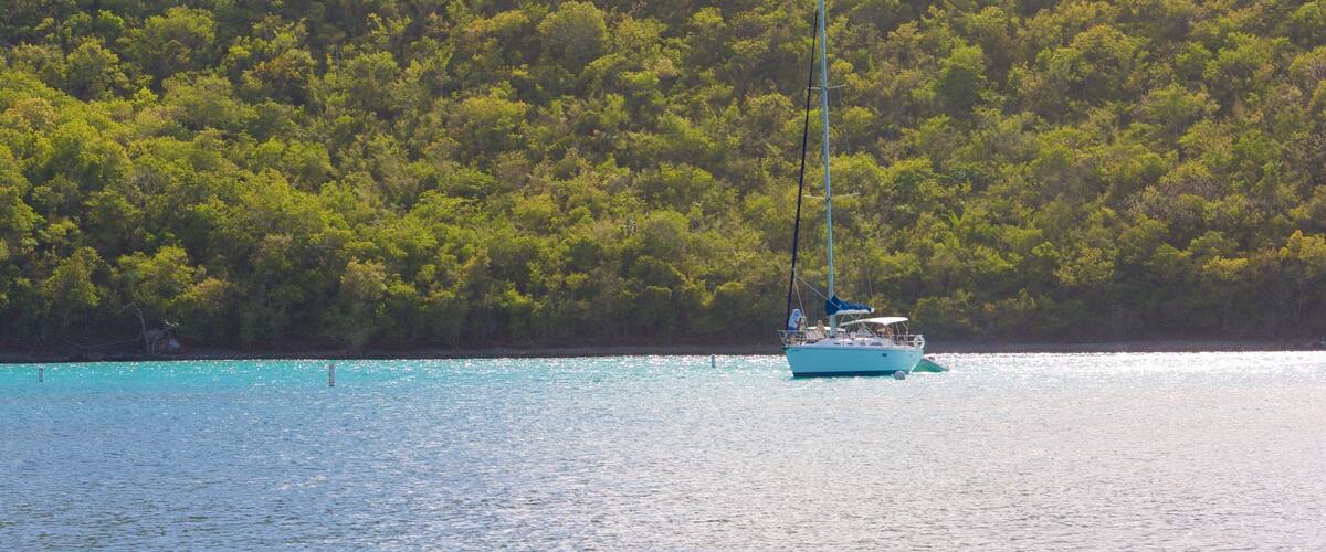Maho Beach showing a bay or harbor