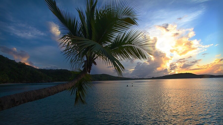 Our tradition while on the island is to buy a bottle of rum, sit in the water and enjoy the sunset. Absolutely my favorite time of day on STJ as the sunsets are typically amazing. #nationalpark #beach #sunset #Caribbean #nature