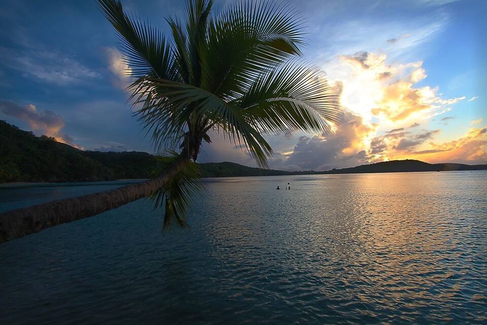 A sunset over a calm sea with a palm tree in the foreground and distant hills.
