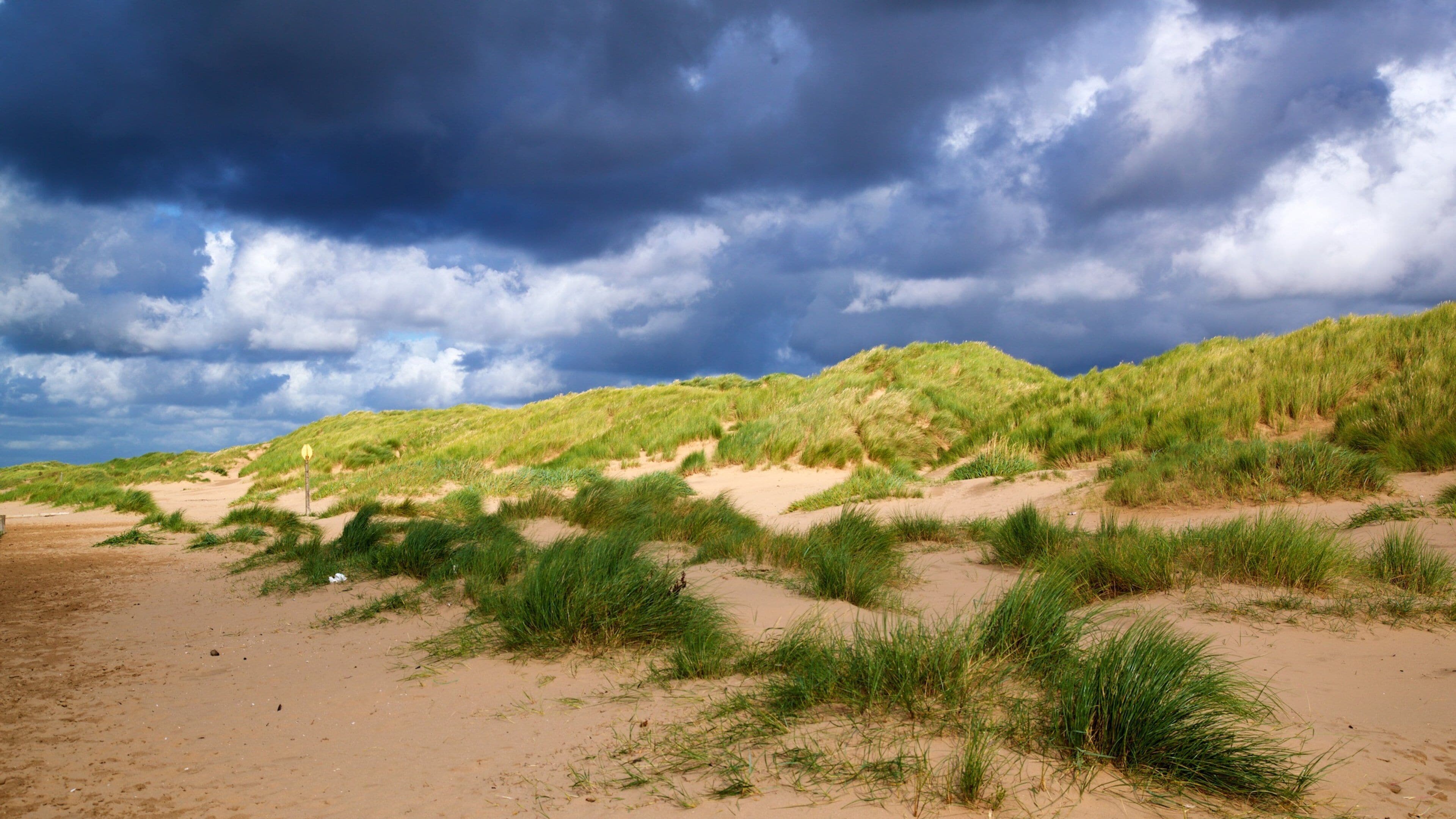 En strand med sanddyner och gräsbevuxen vegetation under en molnig himmel.