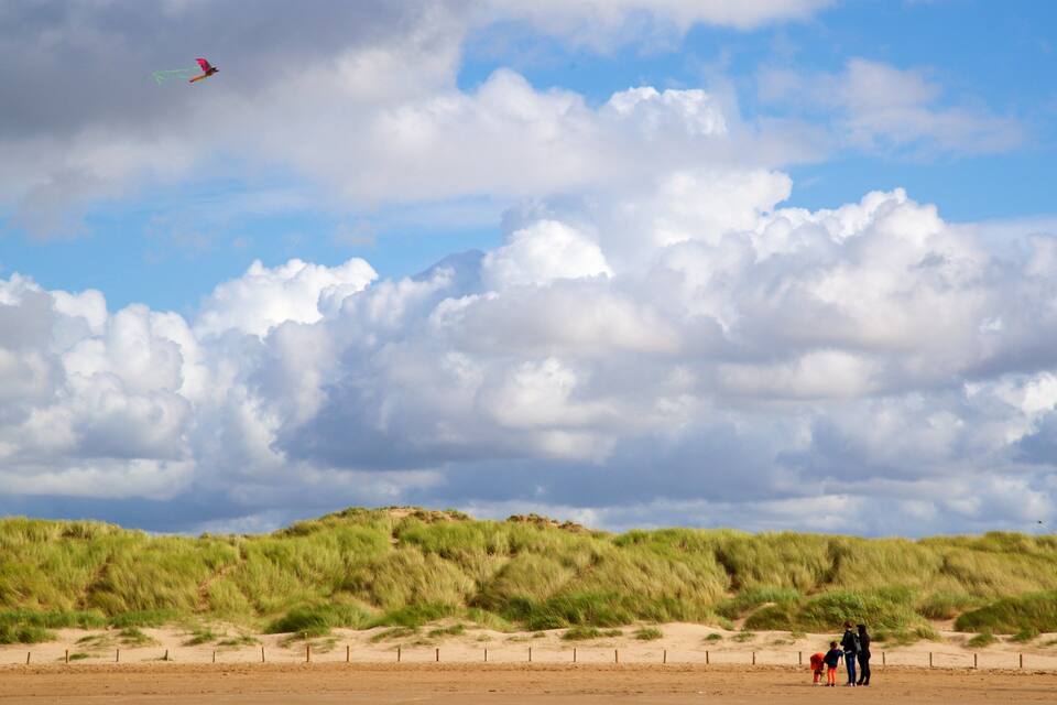 A beach with dunes and a kite flying in the sky.