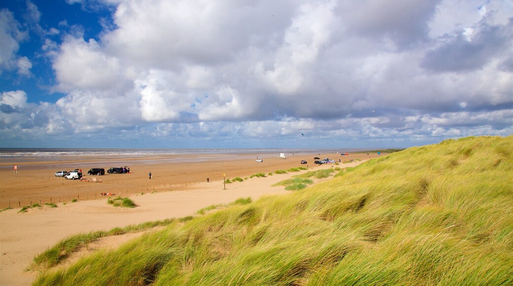 에인스데일 비치 을 특징 해변 과 일반 해안 전경