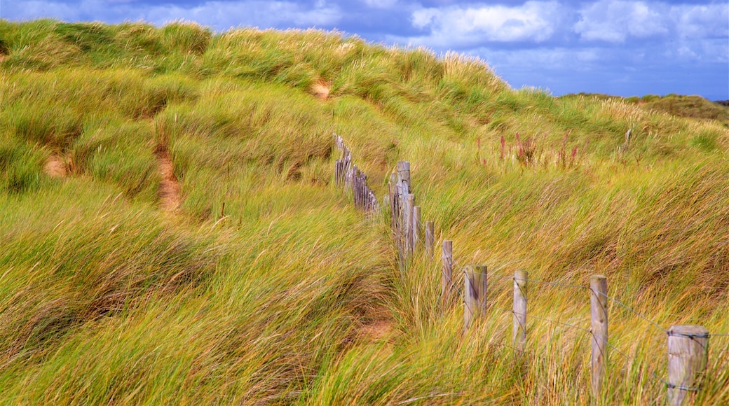 Ainsdale Beach featuring general coastal views