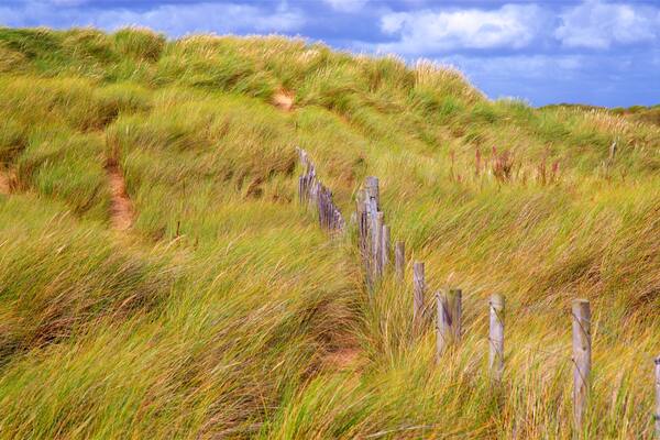 Ainsdale Beach featuring general coastal views