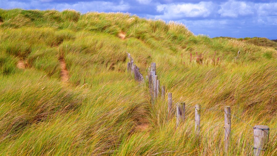 Ainsdale Beach featuring general coastal views