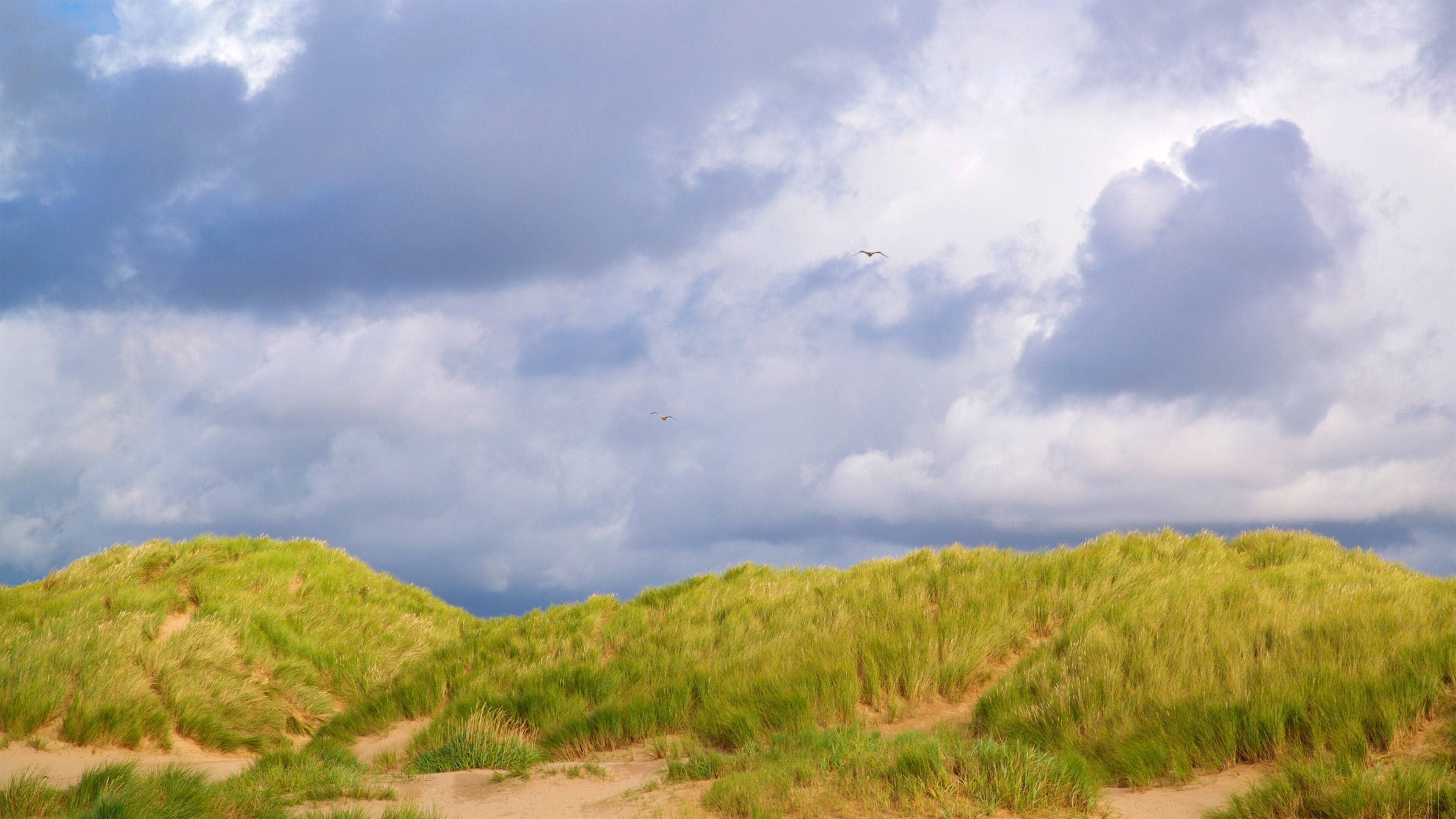Ainsdale Beach which includes general coastal views and a beach