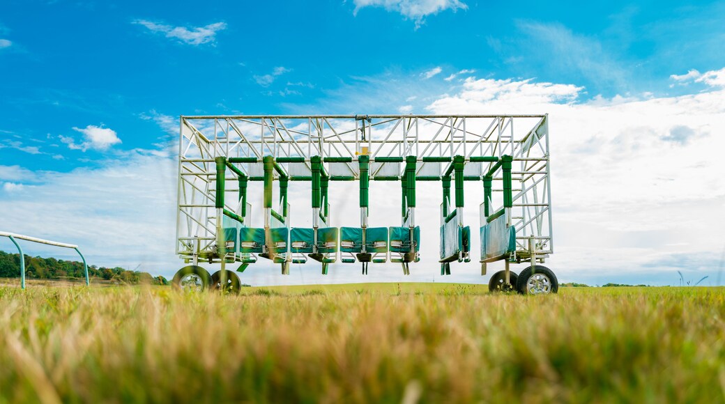 Ground level view on a race course of turnstiles used on a famous horse racing track in Newmarket, Suffolk, UK. Used to train horse and jockey of starting a race.