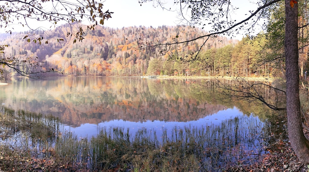 ์๋ฅดํธ๋น ์ฃผ