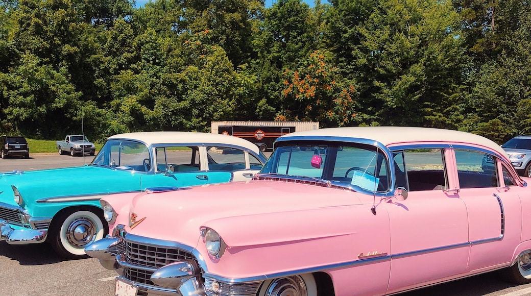Retro cars are cool. #carshow #50s #pinkcar #bluecar #oldcars #backintime #wayback #retro #neon #pastels #color #colorfulcars #expensivecars