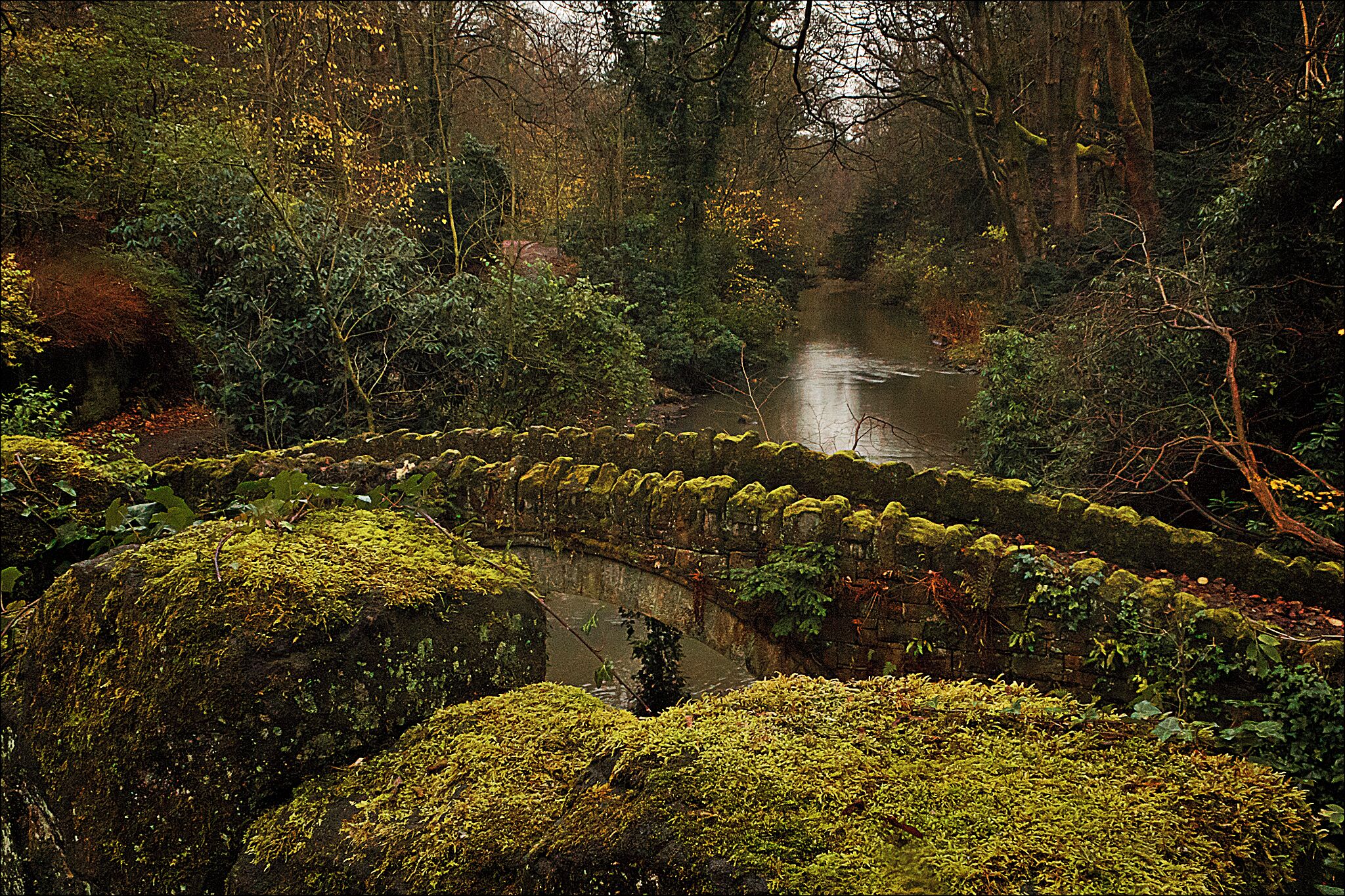 Jesmond Dene, Newcastle