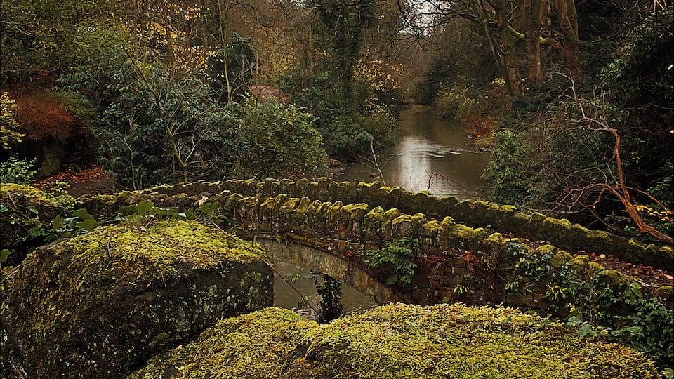 Jesmond Dene, Newcastle