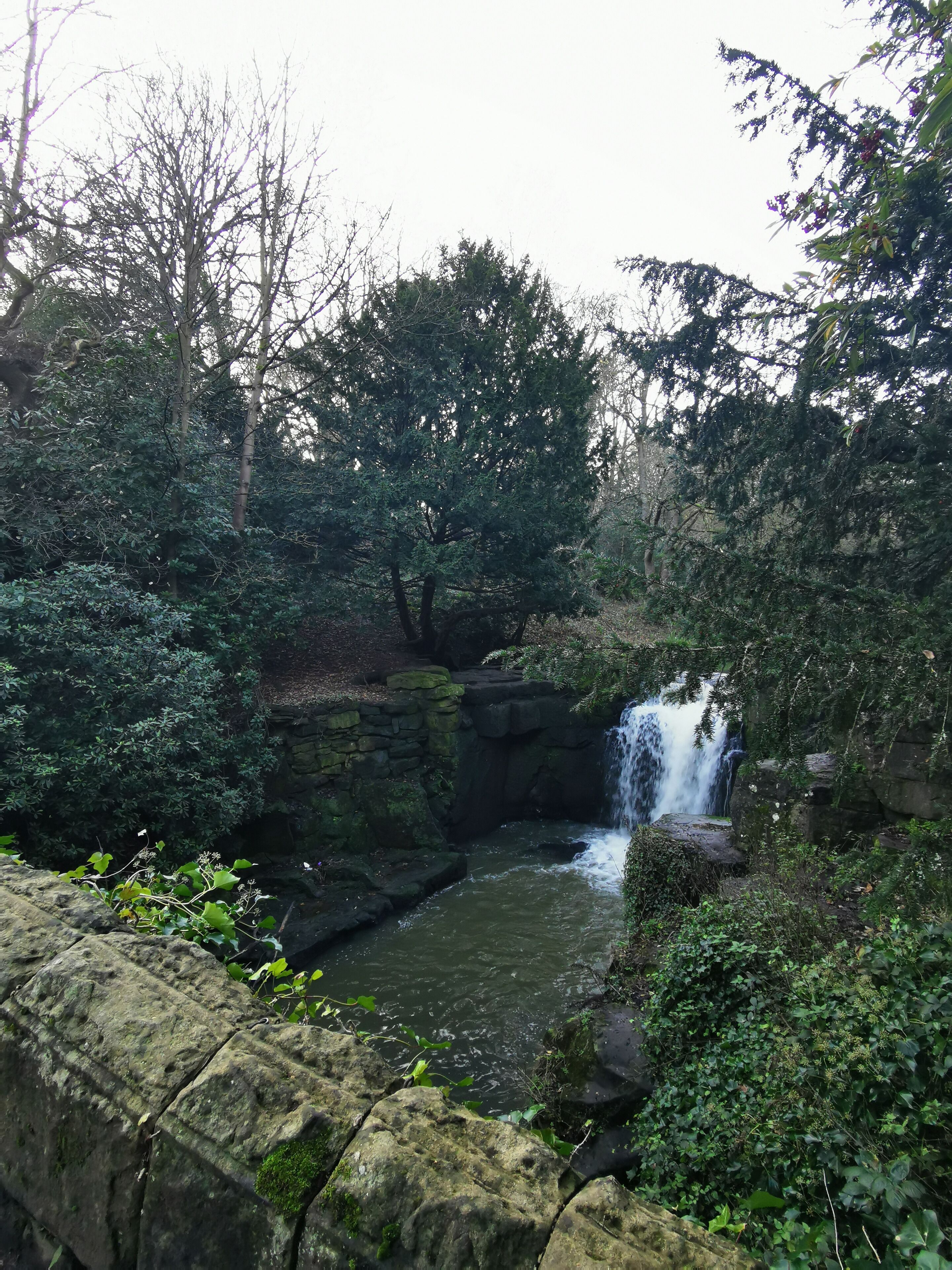 A waterfall cascading over a rocky ledge into a small pool, surrounded by dense foliage and trees.